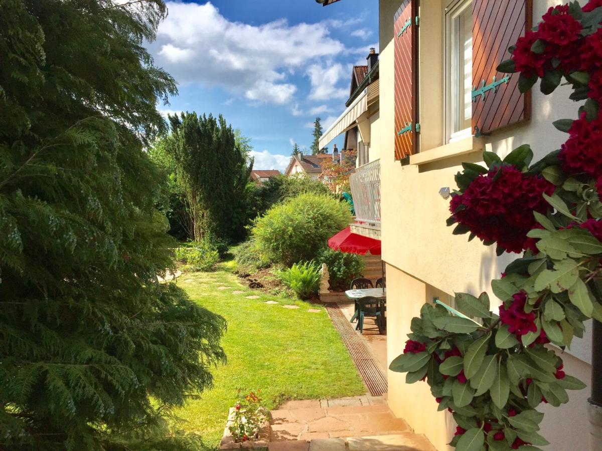 Le De Brigitte ! Saint-Die-des-Vosges